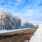 Blue Sky Winter Backdrops Wonderland Photo