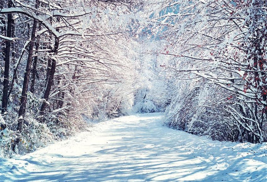 Winter Snow Branches Photography Backdrops for Christmas
