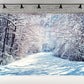 Winter Snow Branches Photography Backdrops for Christmas
