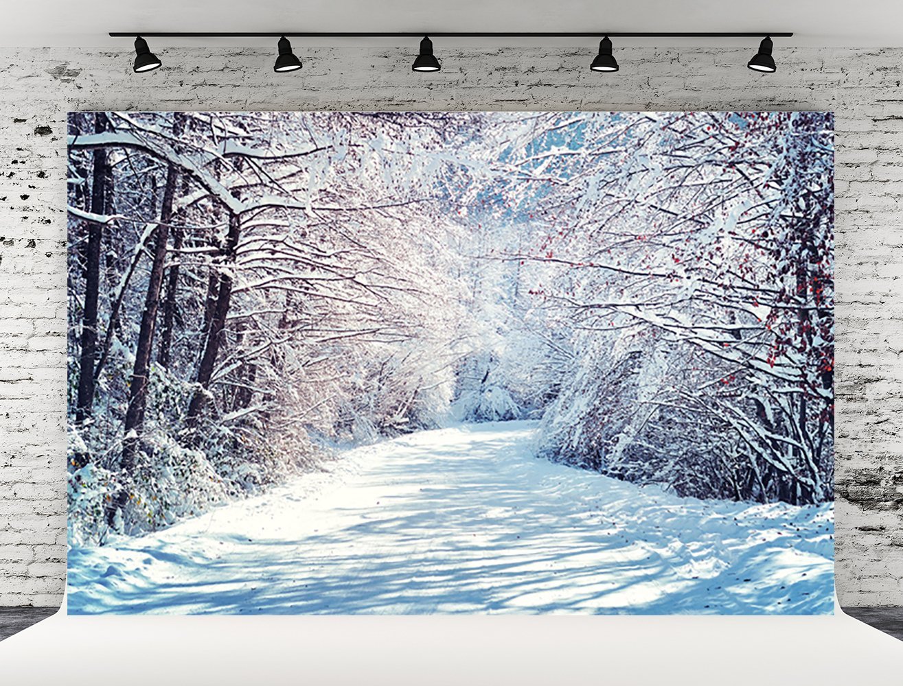 Winter Snow Branches Photography Backdrops for Christmas