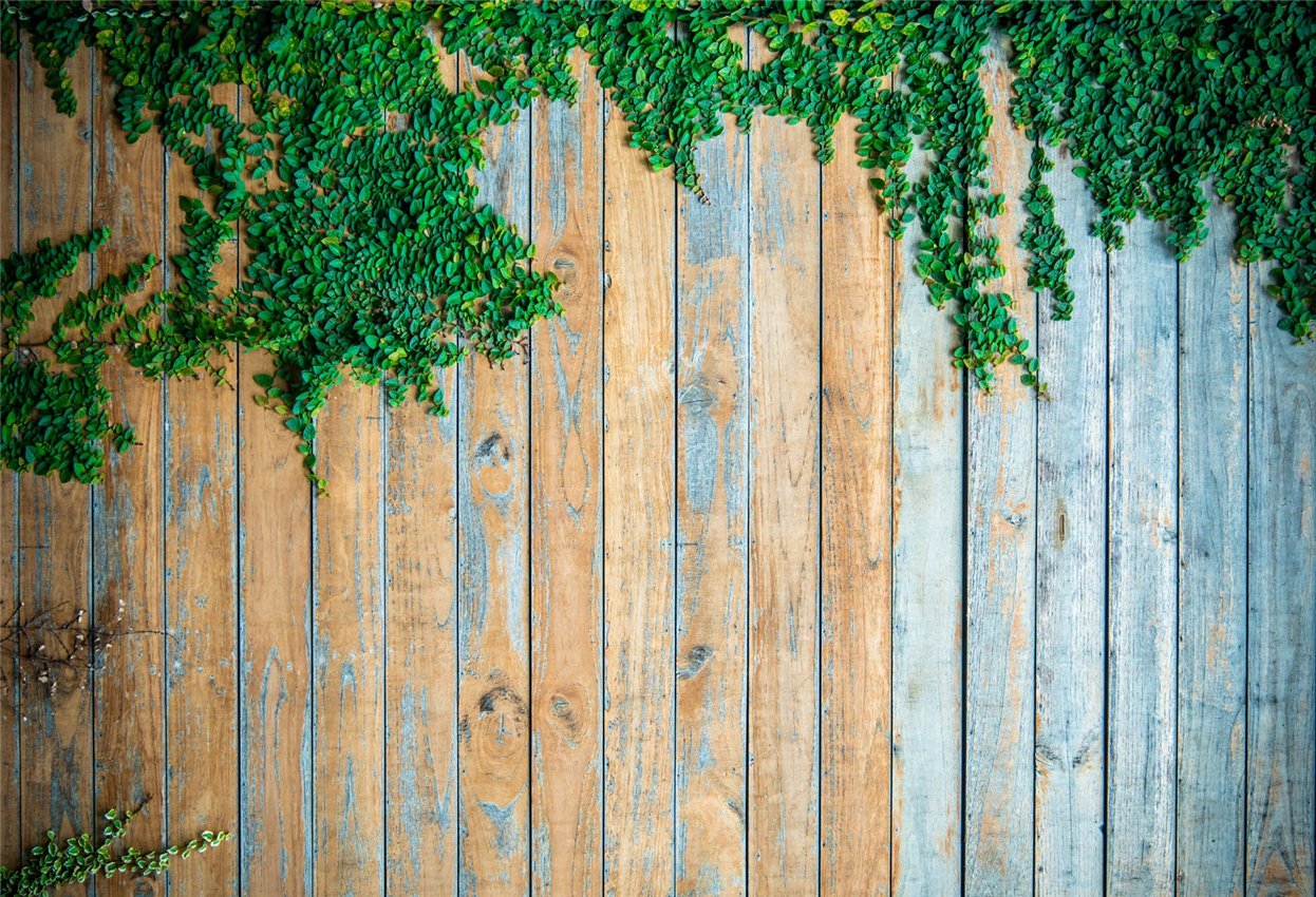 Retro Blue Wood Wall Green Creeper Photography Backdrop