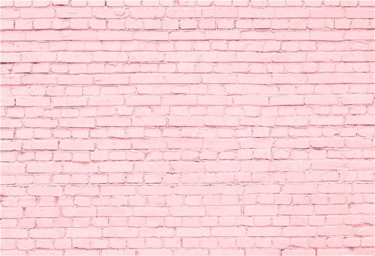 Sweet Pink Brick Wall Backdrop for Princess Photography