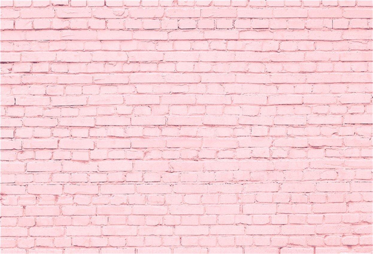 Sweet Pink Brick Wall Backdrop for Princess Photography