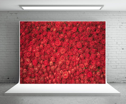 Star Backdrop Red Rose Flowers Backdrop for Wedding Decor
