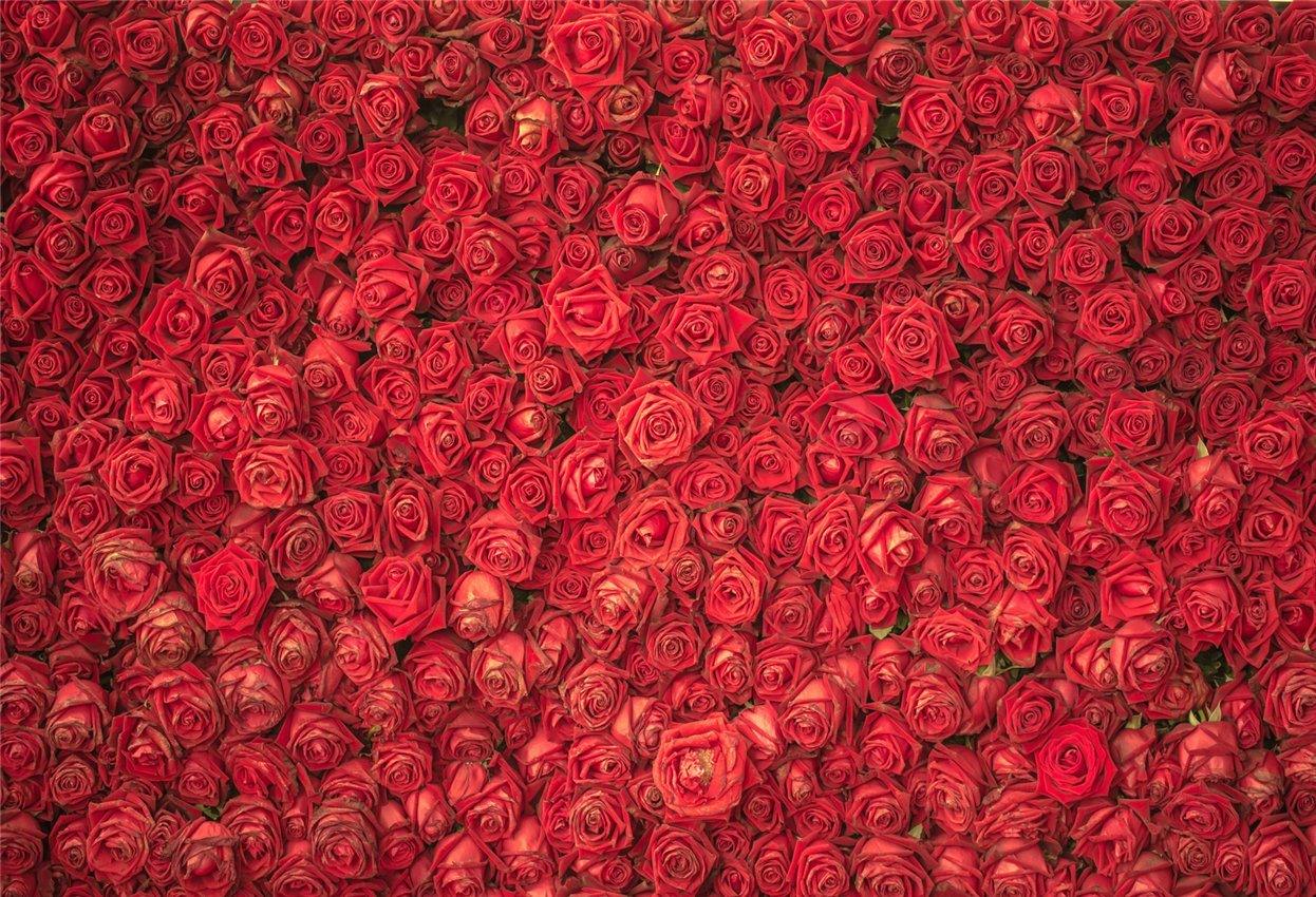 Star Backdrop Red Rose Flowers Backdrop for Wedding Decor