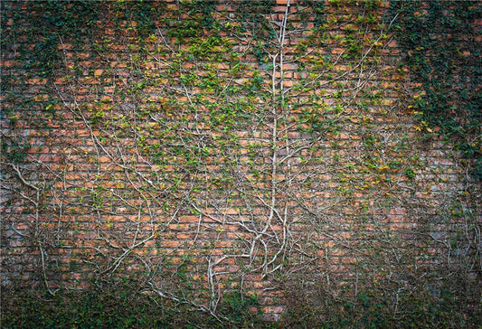 Brick Wall Spring Leaves Photography Backdrops for Studio