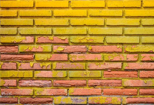 White Vintage Brick Wall Backdrop for Photo Studio LV-182 – Dbackdrop