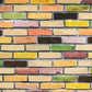 Multicolor Brick Wall Photo Studio Backdrop