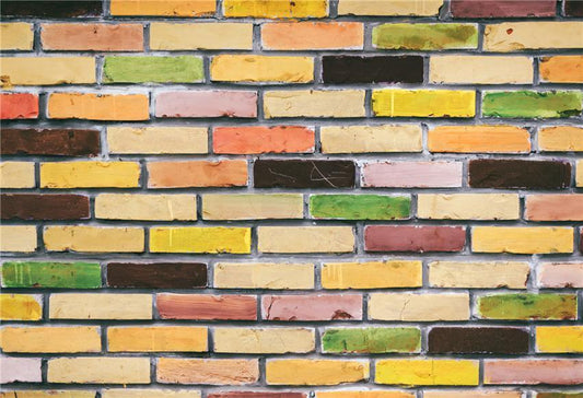 Multicolor Brick Wall Photo Studio Backdrop