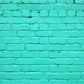 Mint Brick Wall Portrait PHOTO Backdrop for Party