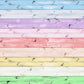 Multicolor Wood Texture Photography Backdrop