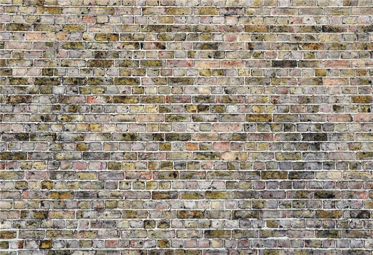 Graffiti Brick Wall Grey Backdrop for Photographers