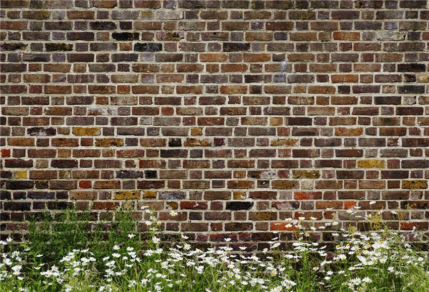 Vintage Brick Wall White Flowers Spring Backdrops for Photography