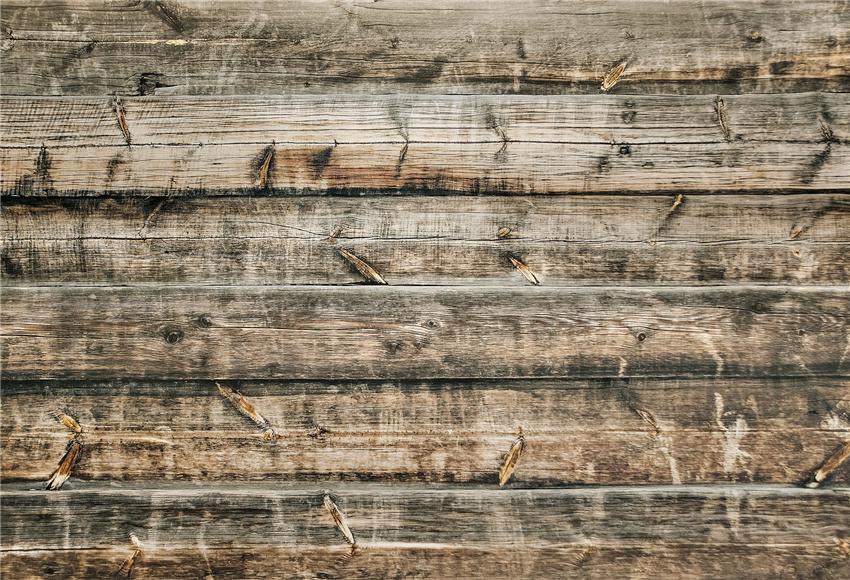 Retro Wood Texture Wood Backdrop