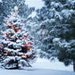 Winter Snow Cover Pine Photo Backdrops