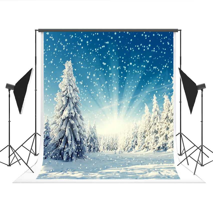 Winter Snowflake Forest Backdrop for Photography Prop