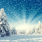 Winter Snow Forest Pine Backdrops for Photography