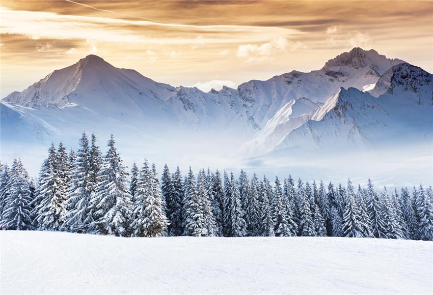 Winter Snow Mountain Photo Backdrops