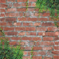 Red Brick Wall Green Leaves Vintage Backdrop