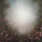 Pink Floral Abstract Bright Backdrops for Photography Prop