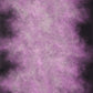 Pink And Purple with Grey Abstract Backdrops for Portrait