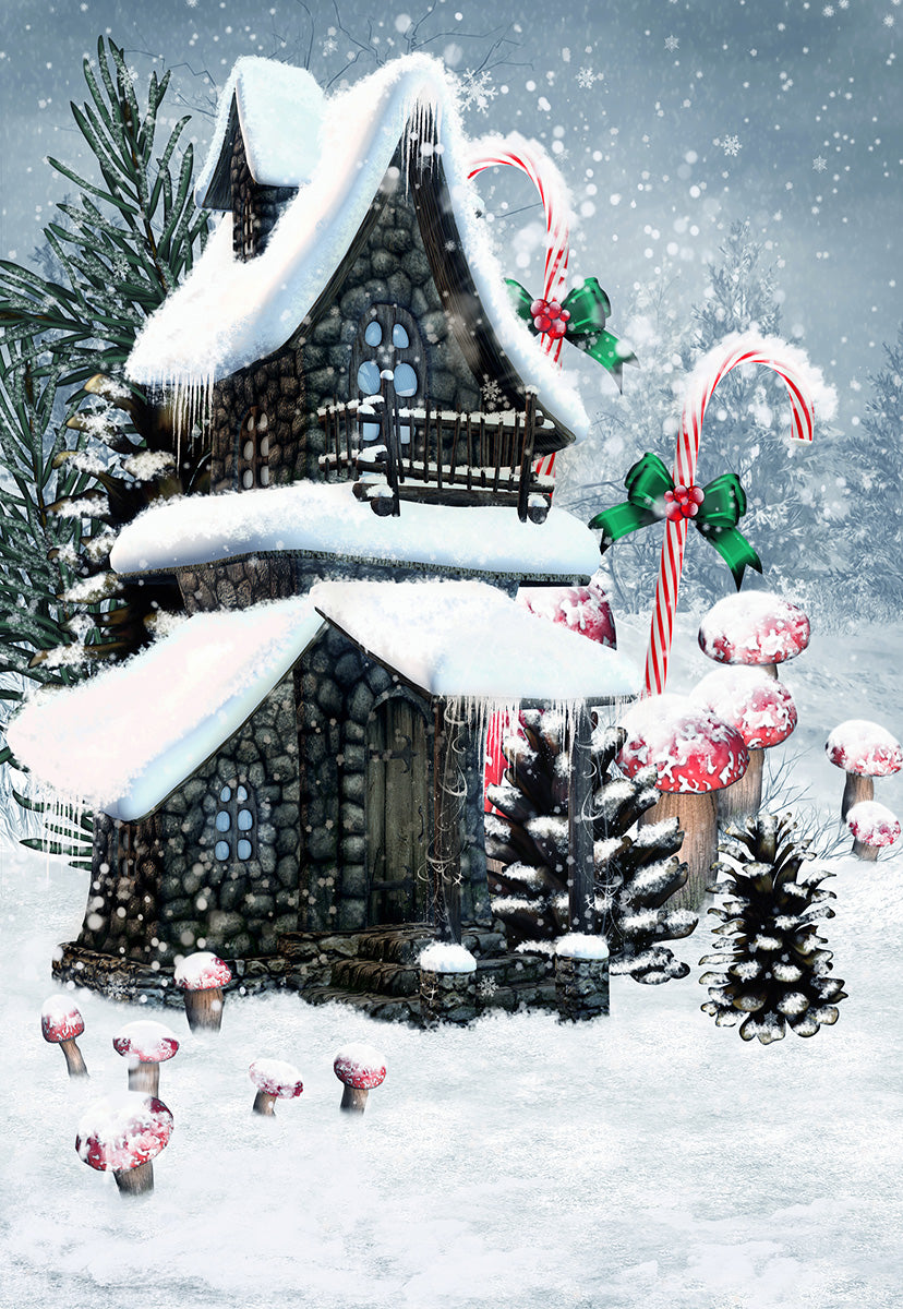 Stone House Winter Snow Christmas Backdrop