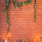 Red Brick Wall Flowers Photo Studio Backdrops