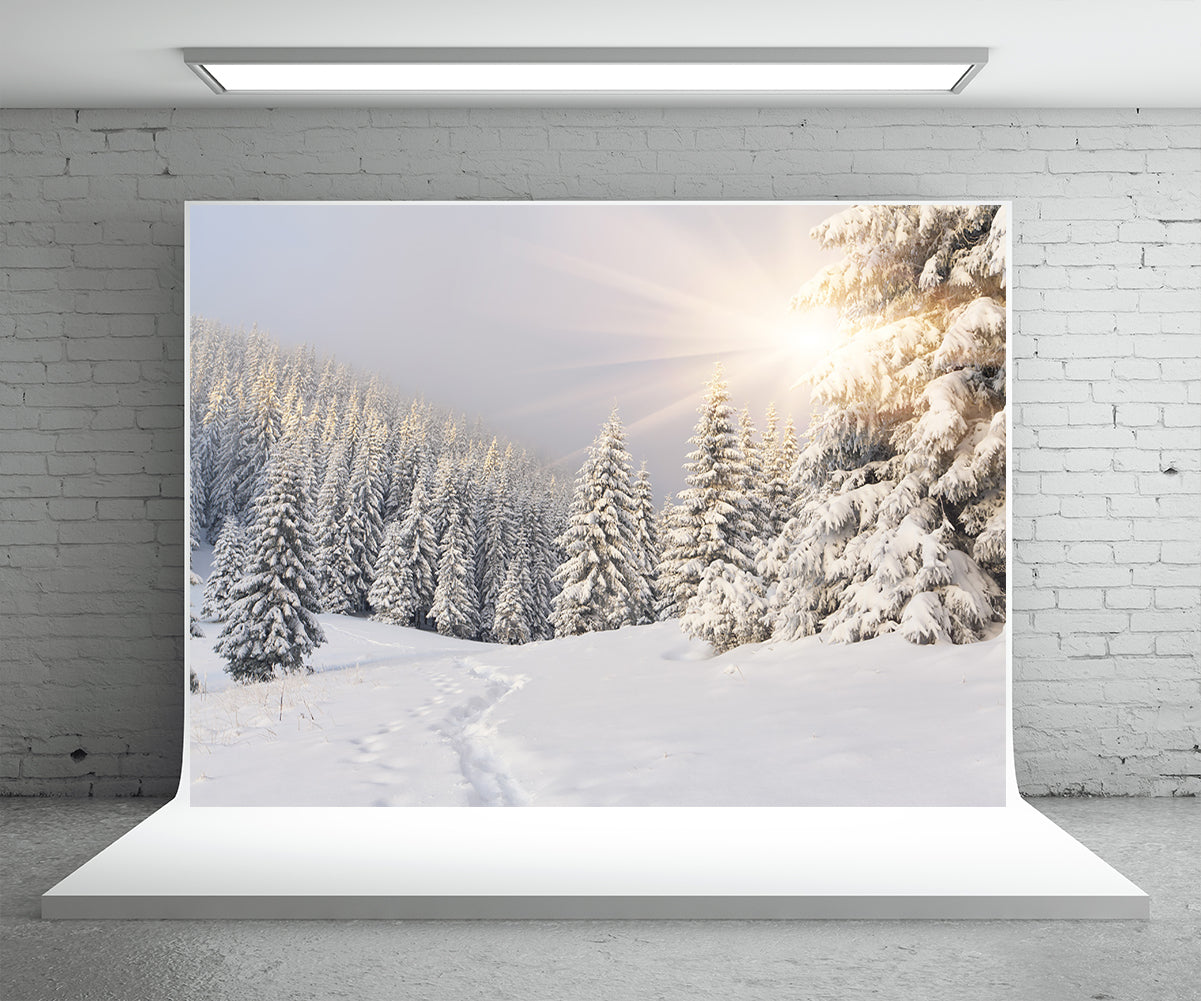 Snow cover Forest Photography Backdrop Winter Background