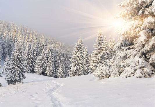Snow cover Forest Photography Backdrop Winter Background