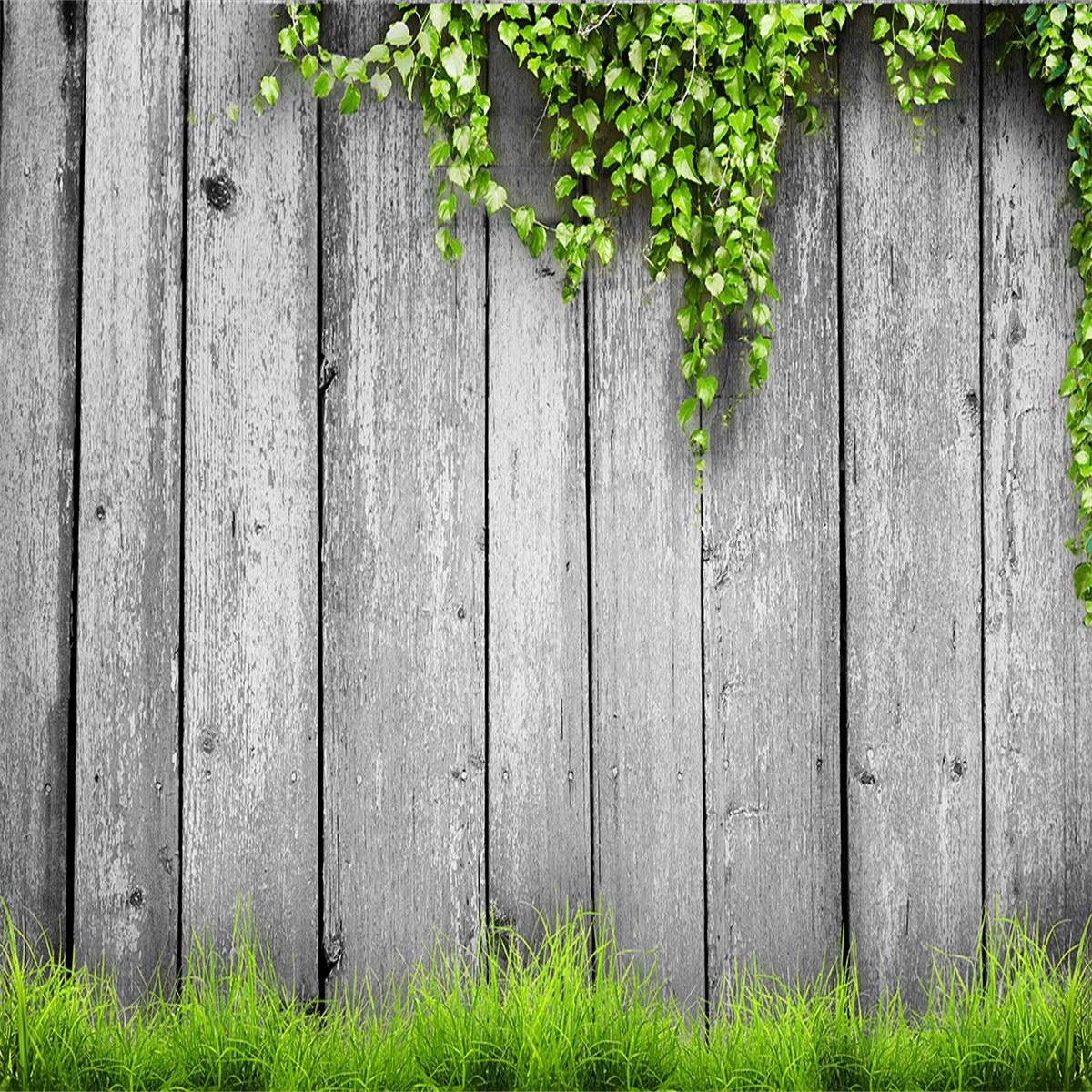 Grey Wood Wall Green Plant Spring Photography Backdrops