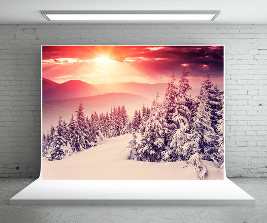 Winter Photography Backdrop Snow Forest Sunlight Background