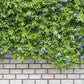 Spring White Brick Green Tree Wall Photography Backgrounds