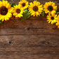 Sunflower Wood Floor wall Texture Backdrop Photography Backgrounds