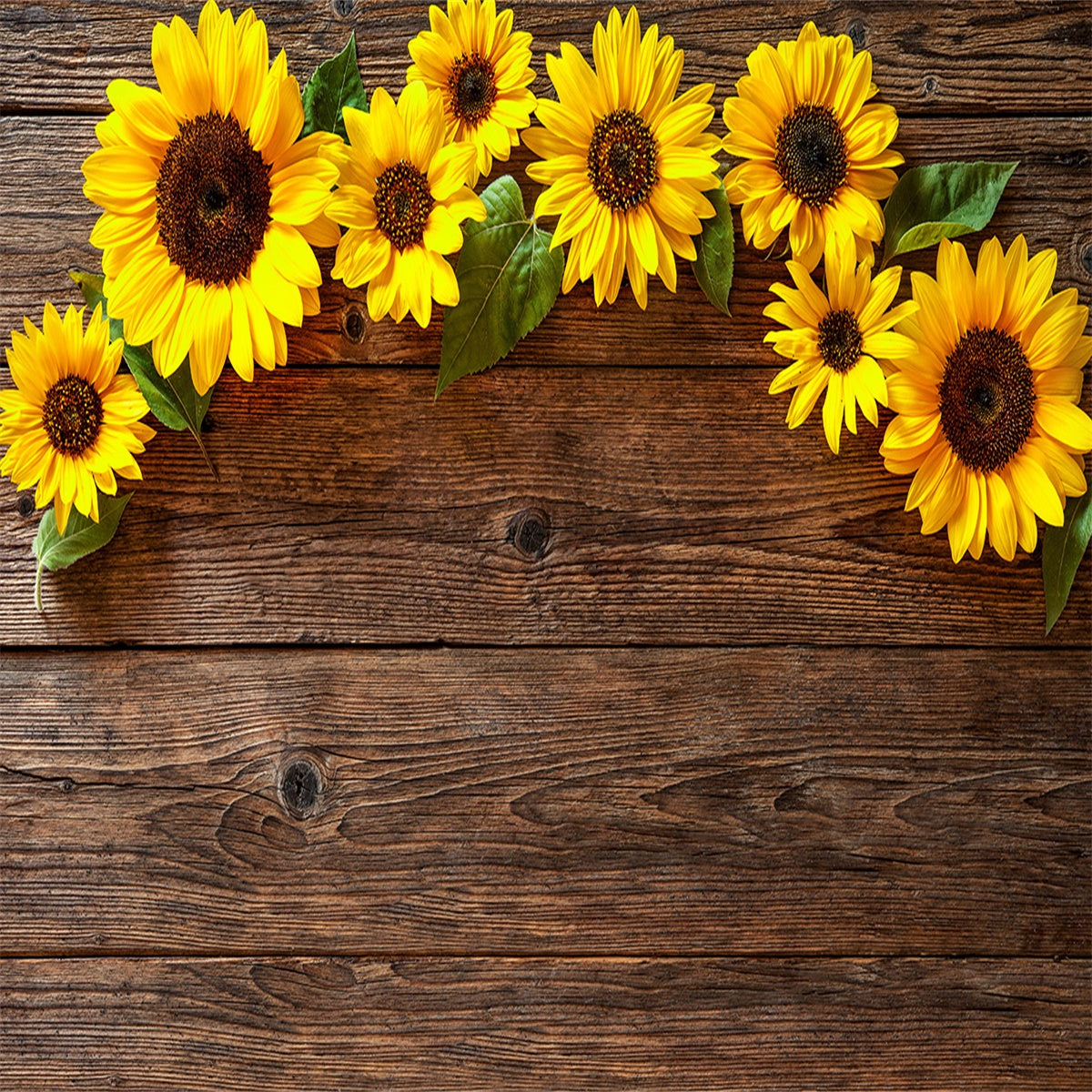 Sunflower Wood Floor wall Texture Backdrop Photography Backgrounds
