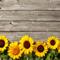 Sunflower Brown Wood Floor wall Texture Backdrop Photography Backgrounds