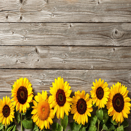 Sunflower Brown Wood Floor wall Texture Backdrop Photography Backgrounds