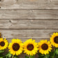 Sunflower Brown Wood Floor wall Texture Backdrop Photography Backdrops