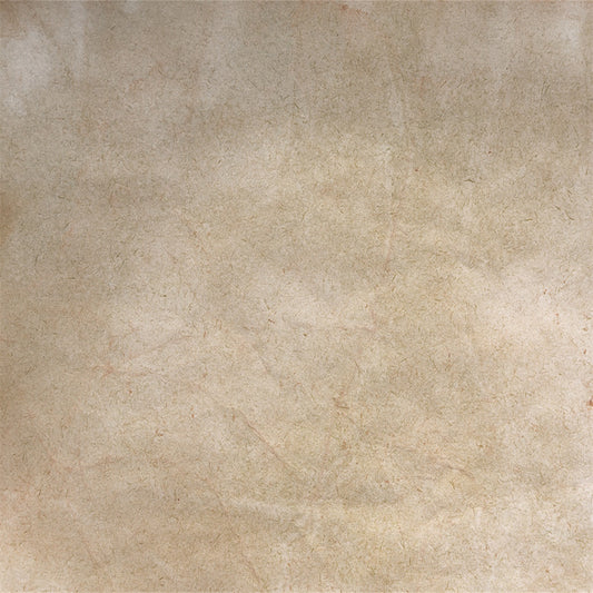 Bright Brown Old Master Abstract Photo Backdrop