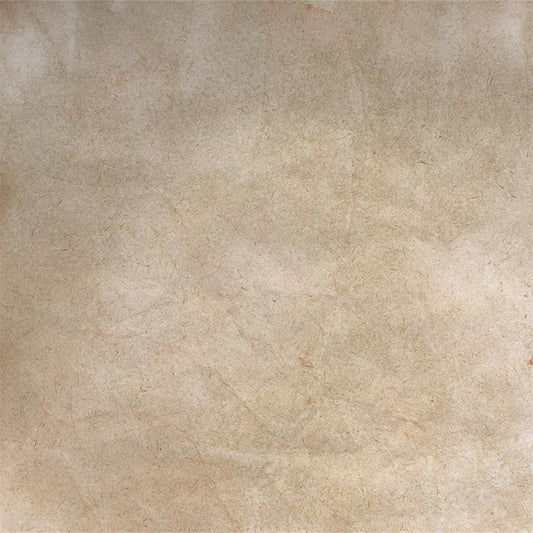 Bright Brown Old Master Abstract Photo Backdrop