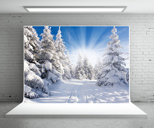 White Snow Forest Photography Backdrop Winter Background