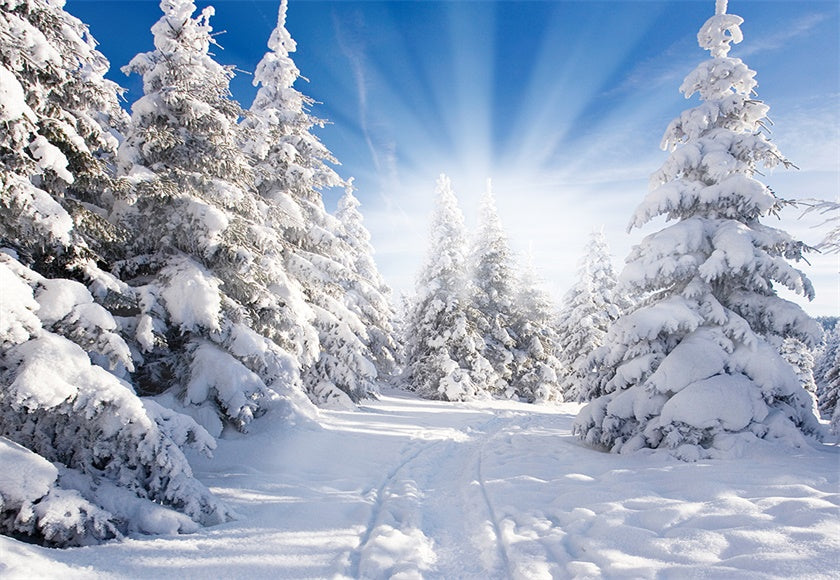 White Snow Forest Photography Backdrop Winter Background