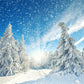 Winter Photography Backdrop Snowflake Forest Background