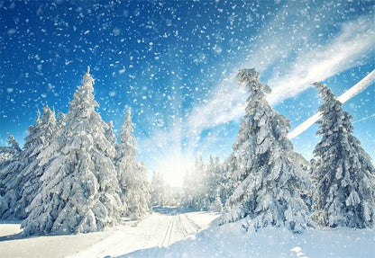 Winter Photography Backdrop Snowflake Forest Background
