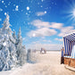 Winter Snow Sunshine Photography Backdrop