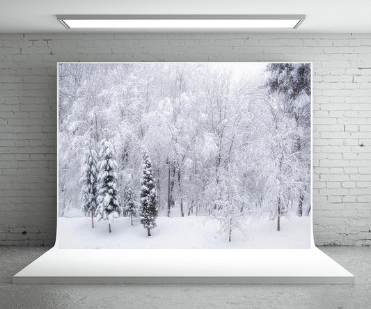 Snow Cover Tree Photography Backdrop Winter Background