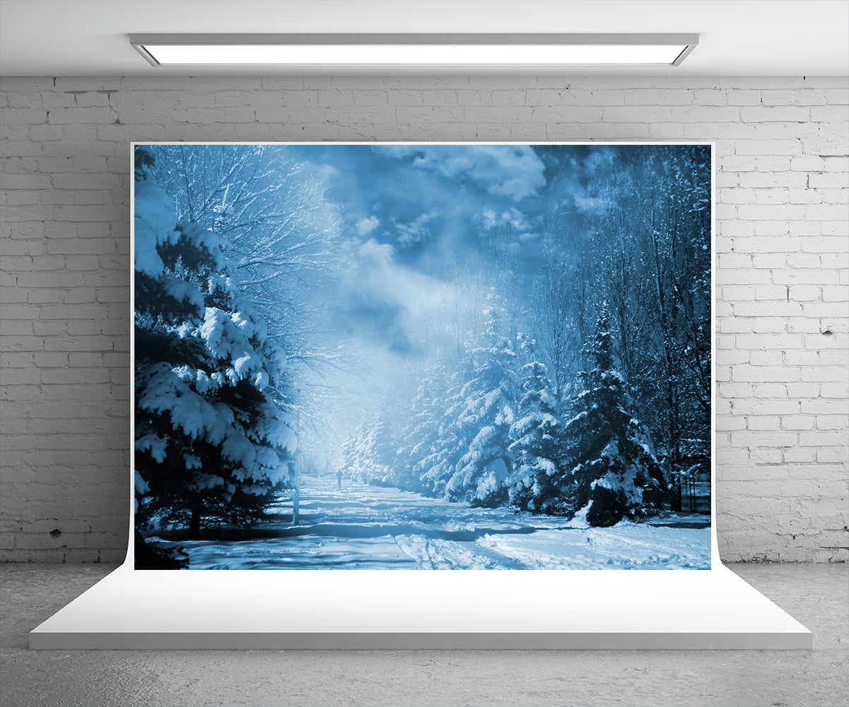Night Winter Photography Backdrop Snow Christmas Background