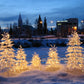 Light Tree Winter Photography Backdrop Snow Background