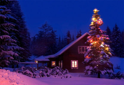 Night Christmas Tree Photography Backdrop Winter Background