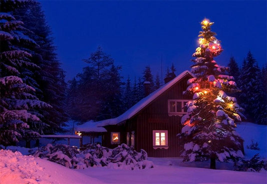 Night Christmas Tree Photography Backdrop Winter Background