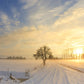 Snow Field Photography Backdrop Winter Background